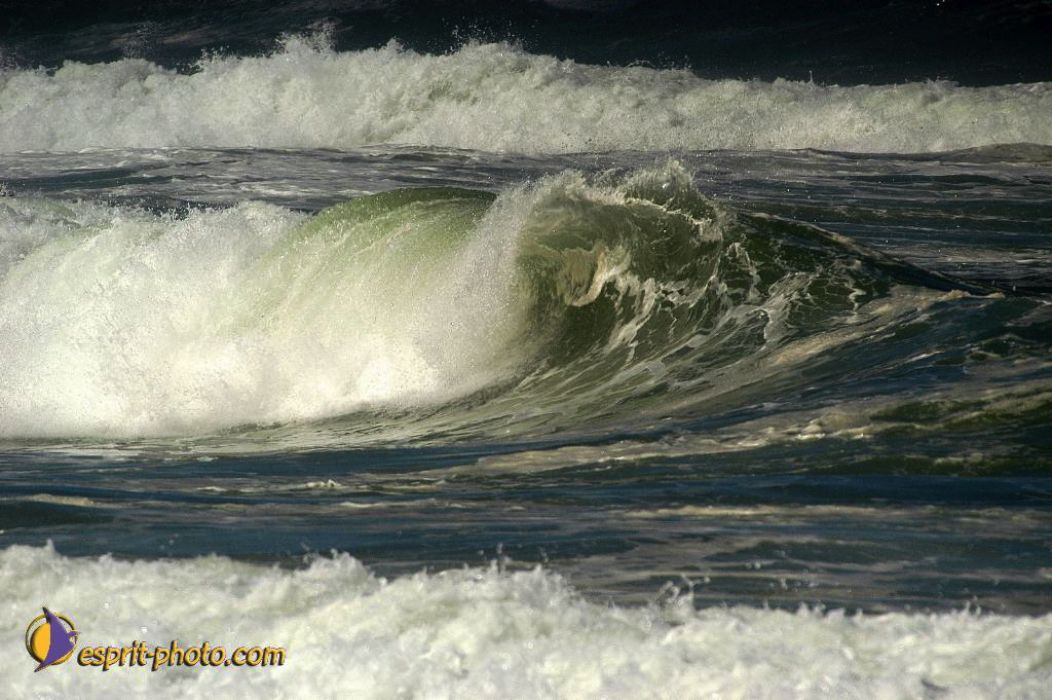 Nom de l'image : EP08-0362_(c)Norbert-JUNG — Description :